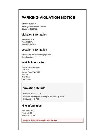 Parking Ticket