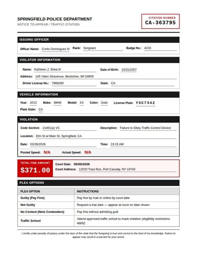Traffic Citation